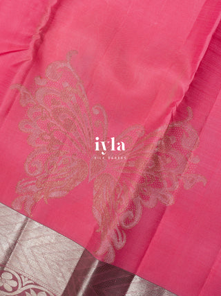 The Whimsical Wings Kanjeevaram in Watermelon Pink